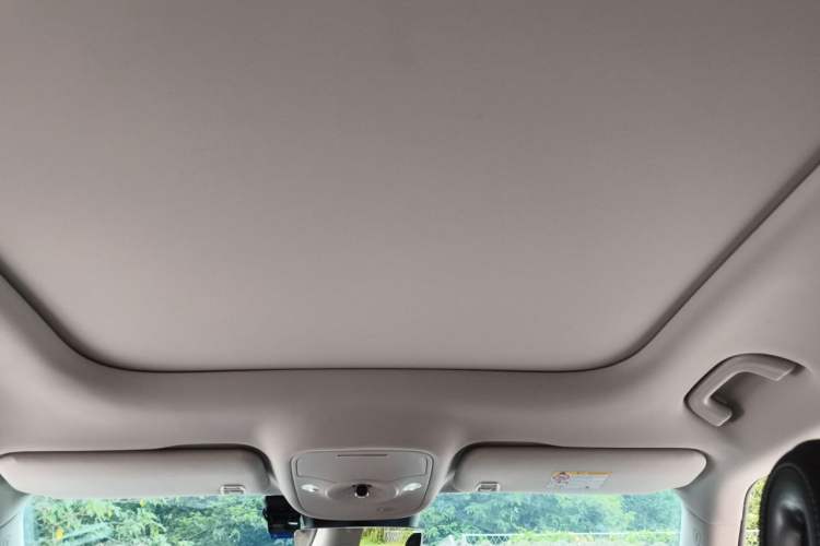 Used smart #1 2022 Pro+ Edition Headliner