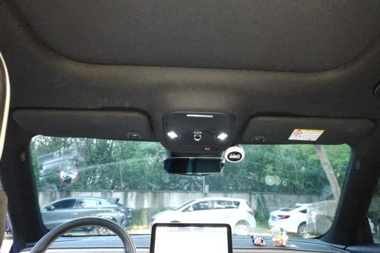 Used smart #1 2022 Pro+ Edition Headliner