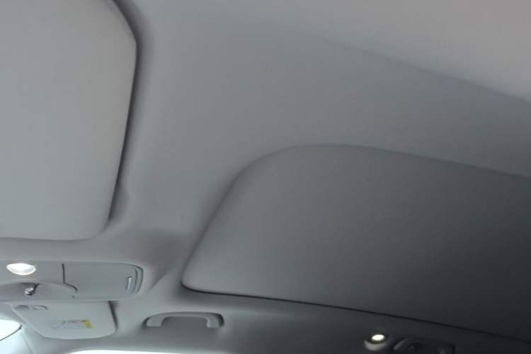 Used smart #1 2022 Premium Edition Headliner