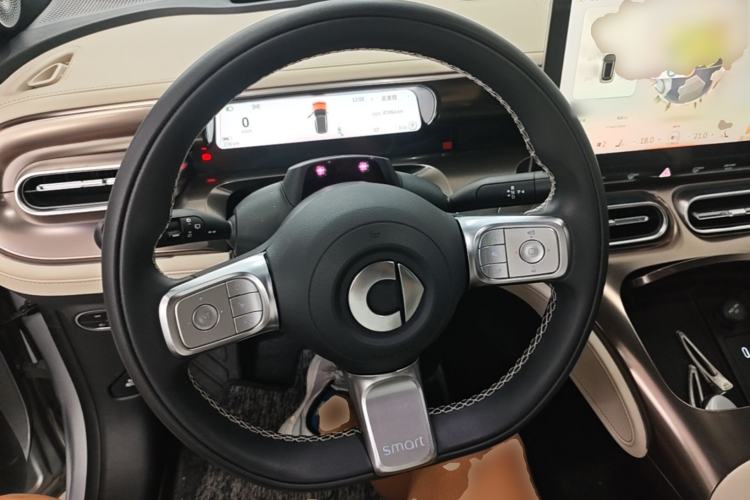 Used smart #1 2022 Premium Edition Steering Wheel