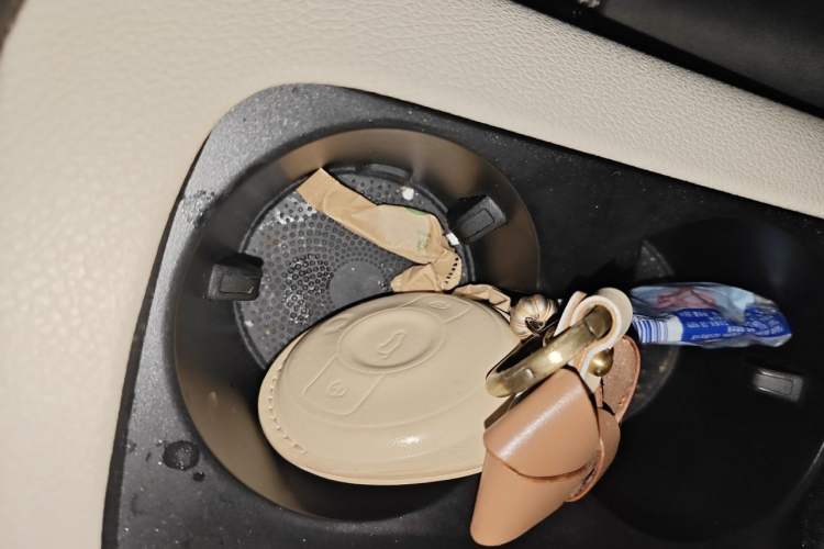 Used smart #1 2022 Premium Edition Vehicle Key