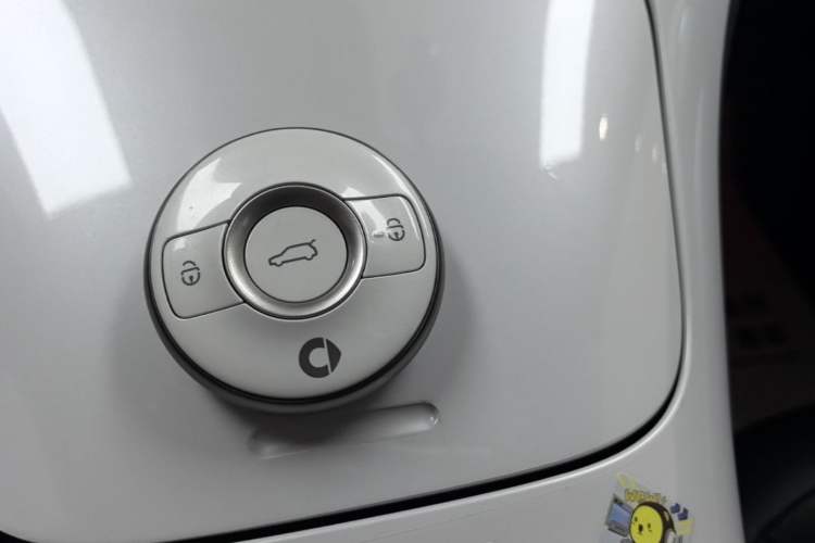 Used smart #1 2022 Premium Edition Vehicle Key