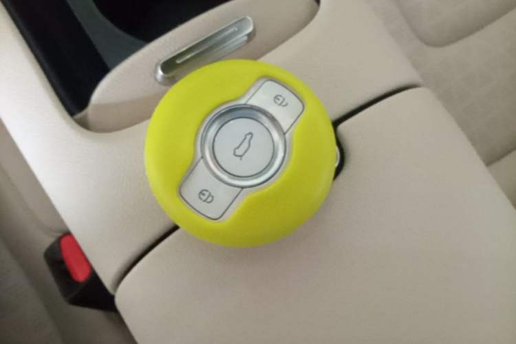 Used smart #1 2022 Premium Edition Vehicle Key