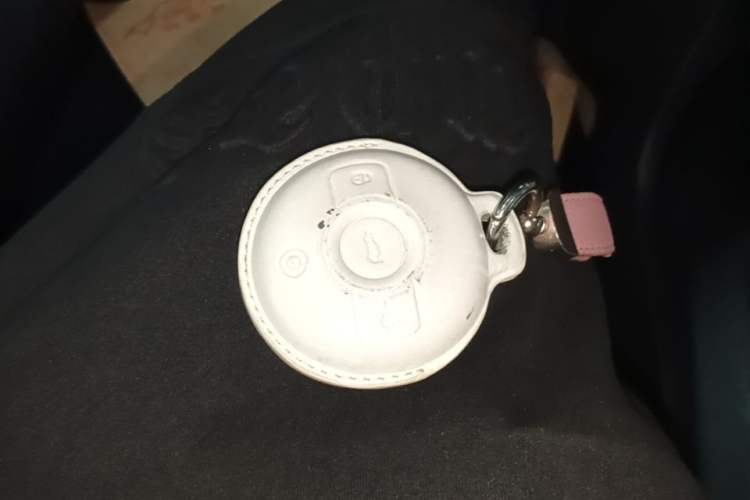 Used smart #1 2022 Premium Edition Vehicle Key