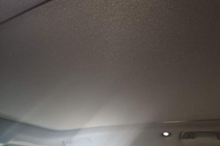 Used smart #1 2022 Premium Edition Headliner