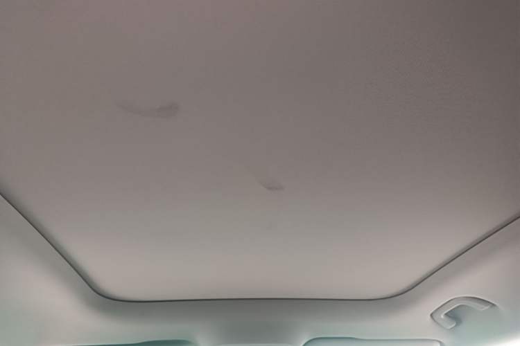 Used smart #1 2022 Premium Edition Headliner