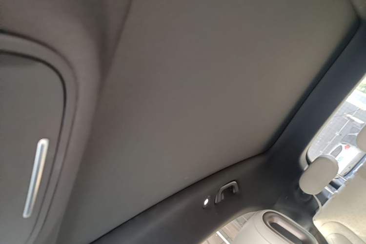 Used smart #1 2022 Premium Edition Headliner