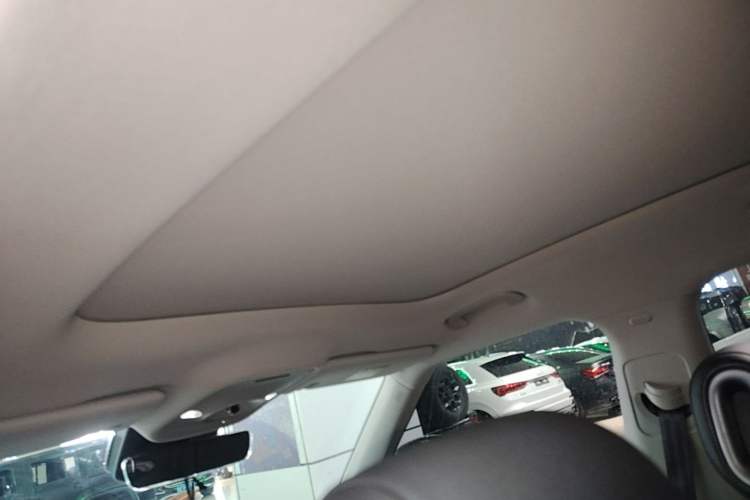 Used smart #1 2022 Pro+ Edition Headliner