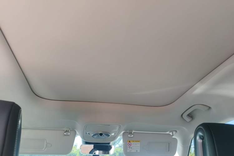 Used smart #1 2022 Pro+ Edition Headliner