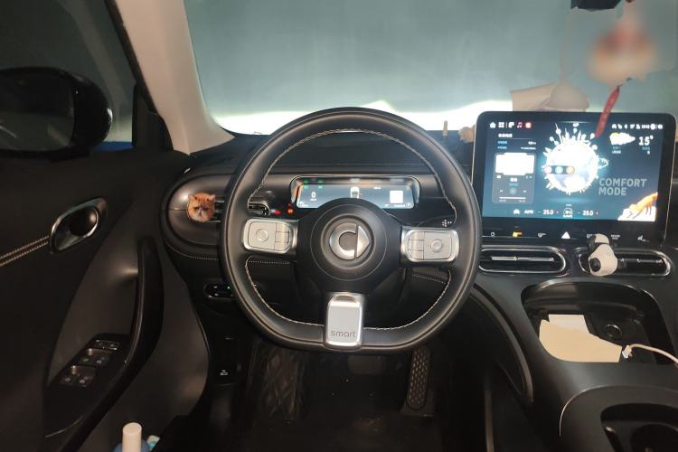 Used smart #1 2022 Pro+ Edition Steering Wheel