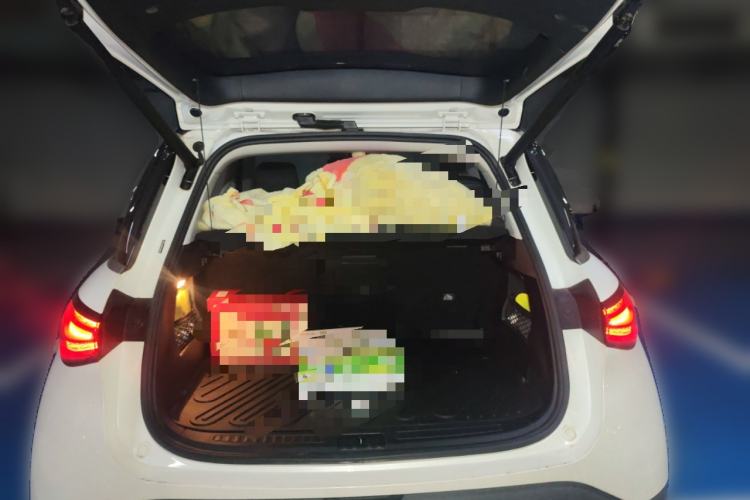 Used smart #1 2022 Pro+ Edition Trunk