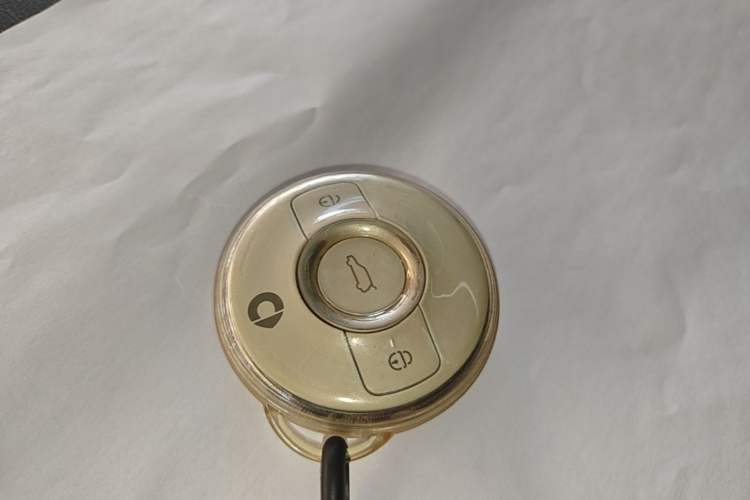 Used smart #1 2022 Pulse Heartbeat Edition Vehicle Key