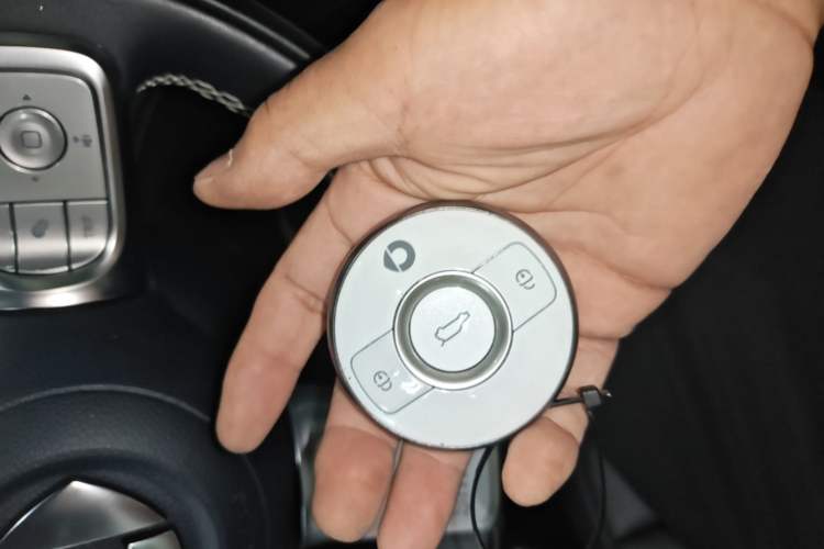 Used smart #1 2022 Pulse Heartbeat Edition Vehicle Key