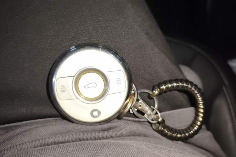 Used smart #1 2022 Premium Edition Vehicle Key