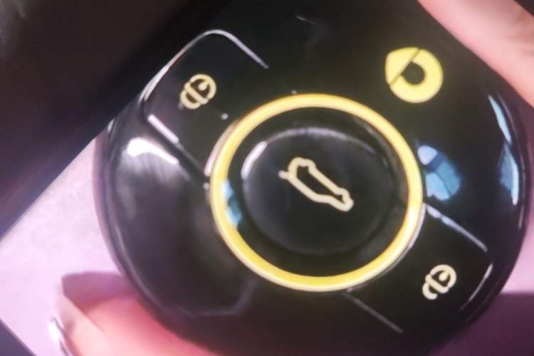 Used smart #1 2022 Pro+ Edition Vehicle Key