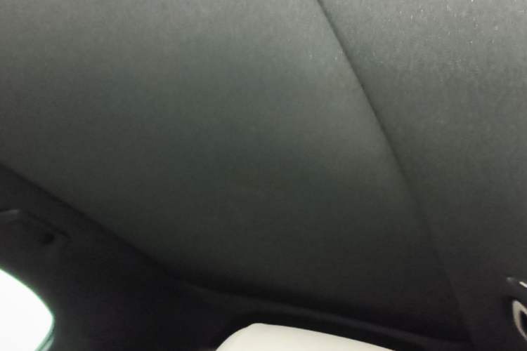Used smart #1 2022 Pro+ Edition Headliner