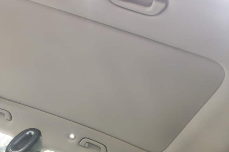 Used smart #1 2023 Pro Edition Headliner