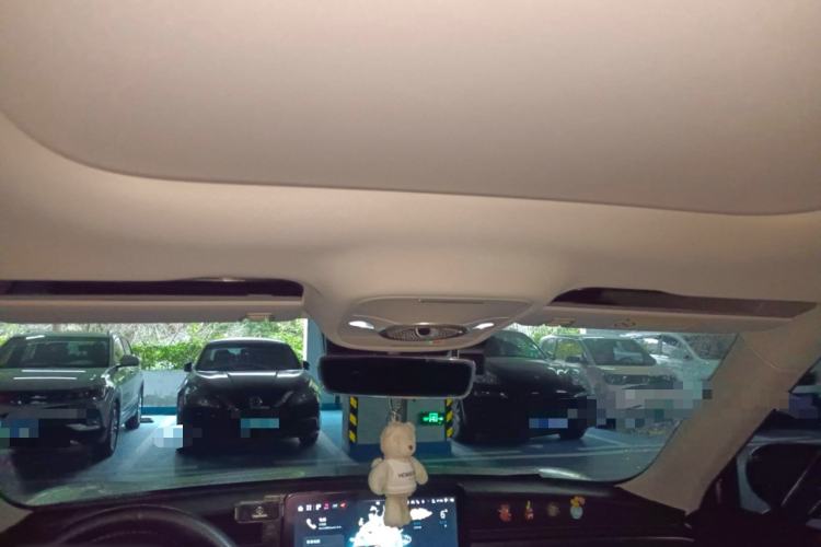 Used smart #1 2023 Pro Edition Headliner