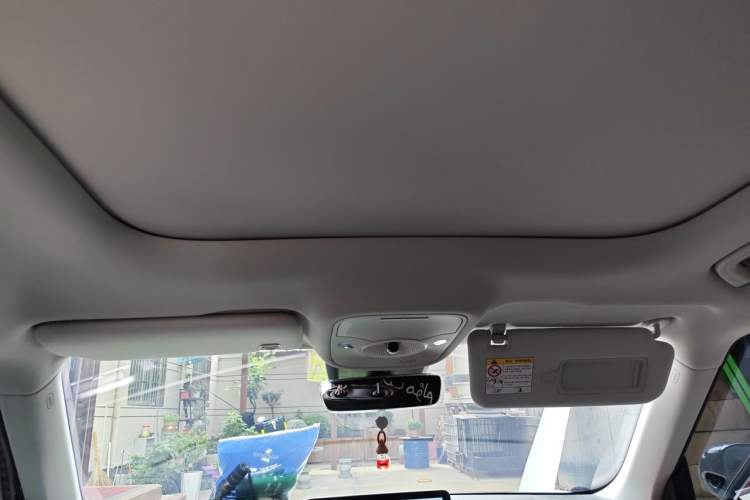 Used smart #1 2023 Pro Edition Headliner