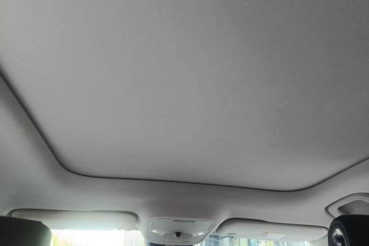 Used smart #1 2023 Pro Edition Headliner