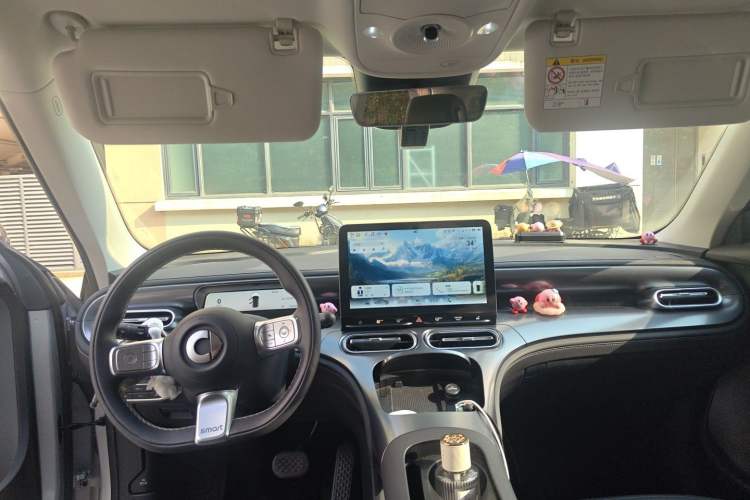 Used smart #1 2023 Pro Edition Headliner
