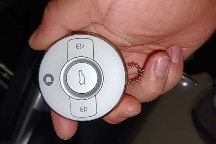 Used smart #1 2024 Dynamic Luxury Edition Vehicle Key