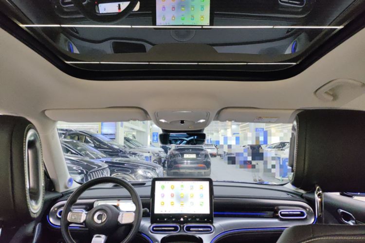 Used smart #1 2024 Premium Edition Headliner