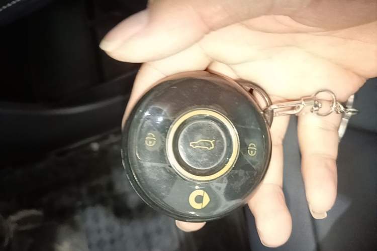 Used smart #1 2024 Dynamic Standard Edition Vehicle Key