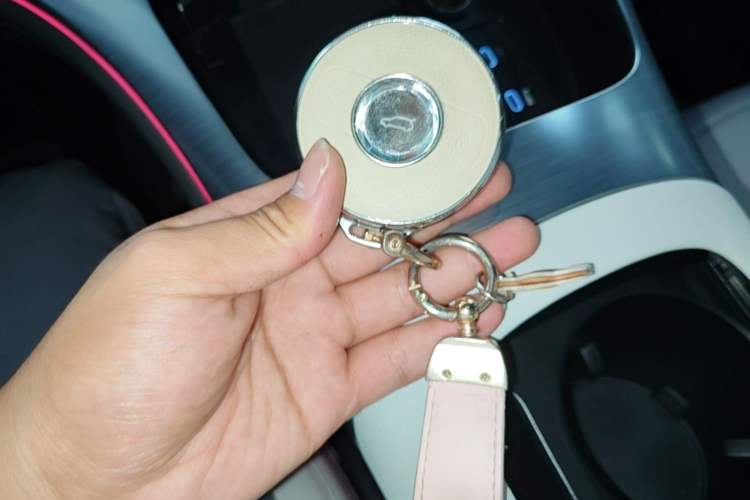 Used smart #1 2024 Dynamic Standard Edition Vehicle Key