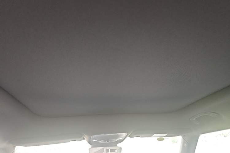 Used smart #1 2024 Premium Edition Headliner