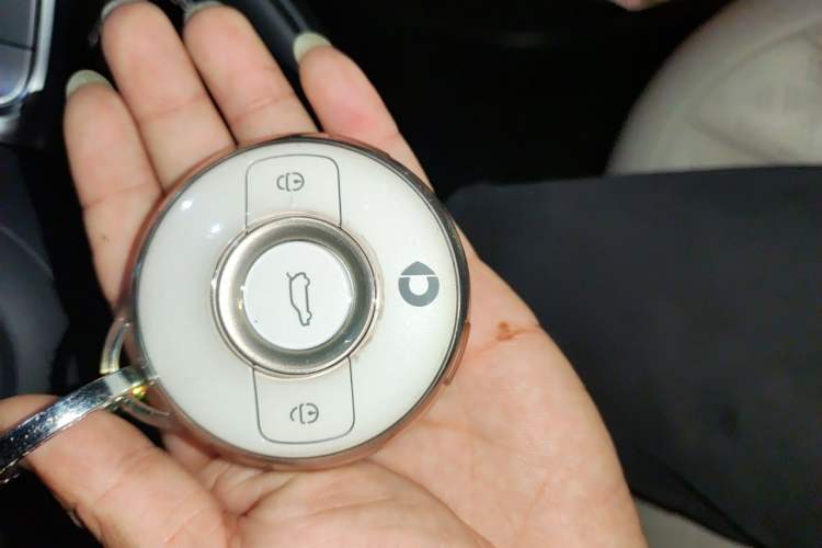 Used smart #1 2024 Dynamic Luxury Edition Vehicle Key