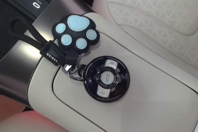 Used smart #1 2024 Premium Edition Vehicle Key