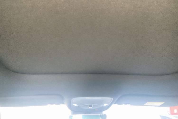 Used smart #1 2024 Premium Edition Headliner