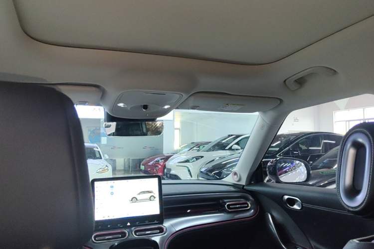 Used smart #1 2024 Premium Edition Headliner