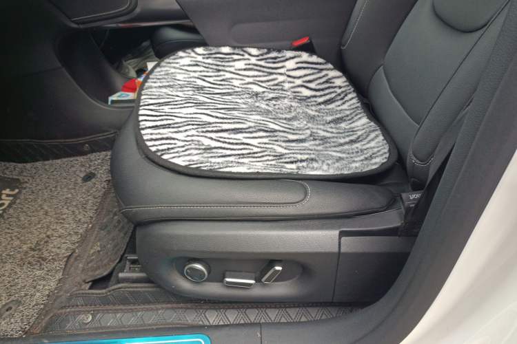 Used smart #1 2024 Dynamic Standard Edition Left Front Seat