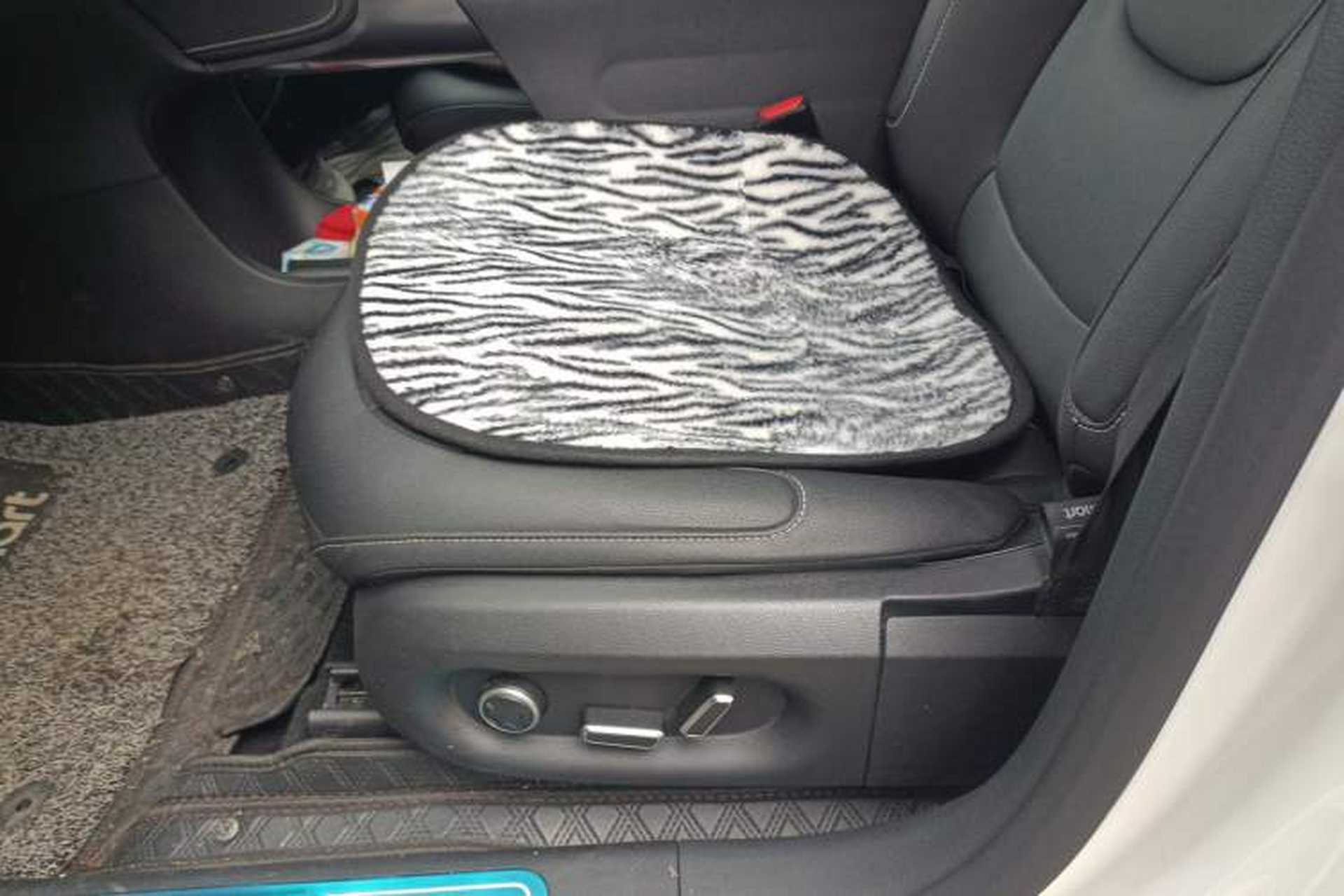 Used smart #1 2024 Dynamic Standard Edition Left Front Seat