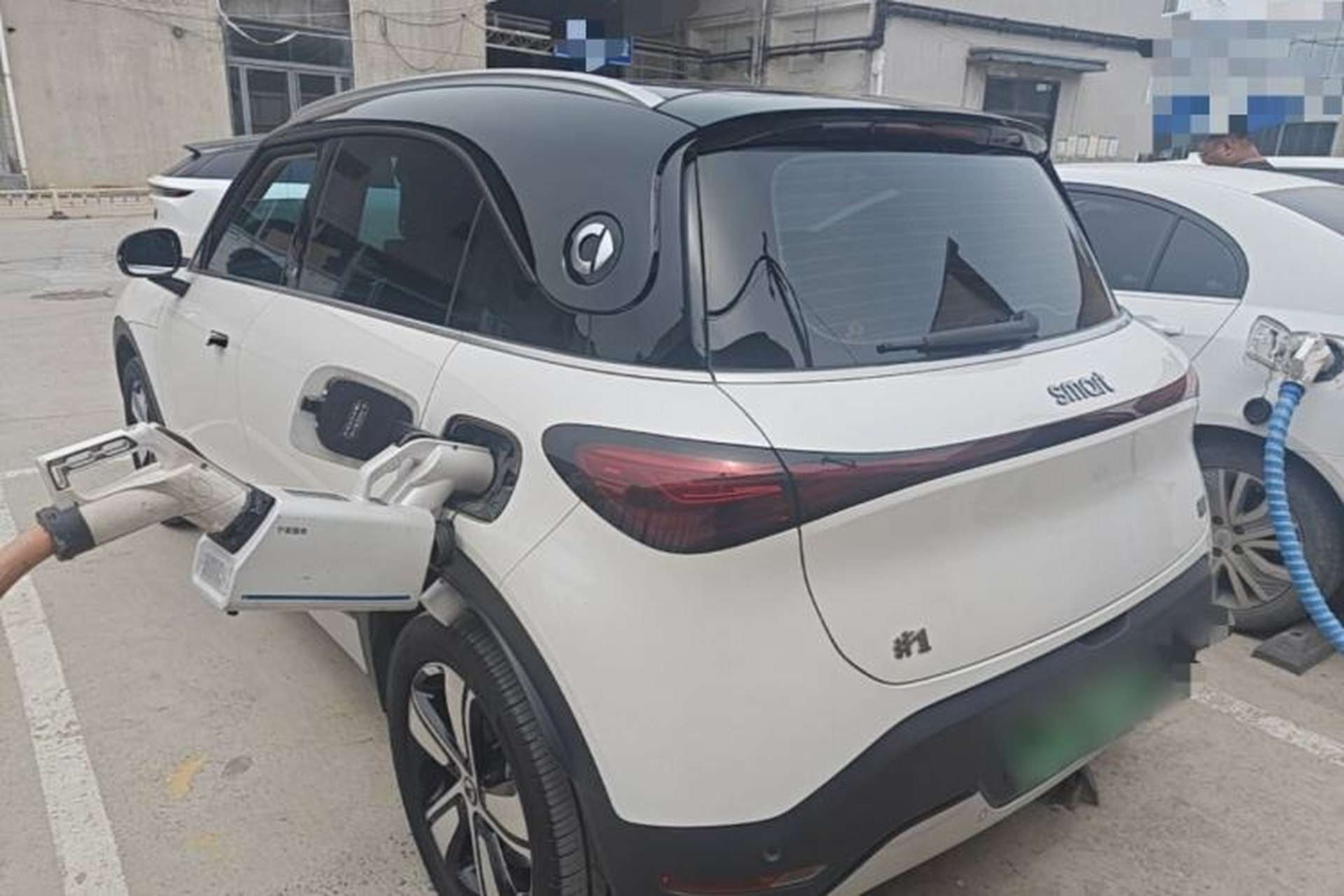 Used smart #1 2024 Dynamic Standard Edition Rear Left 45 Deg