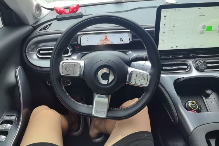 Used smart #1 2024 Dynamic Standard Edition Steering Wheel