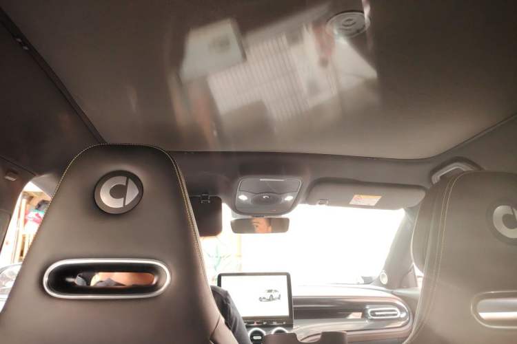 Used smart #3 2023 Pulse Four-Wheel Drive Edition Headliner