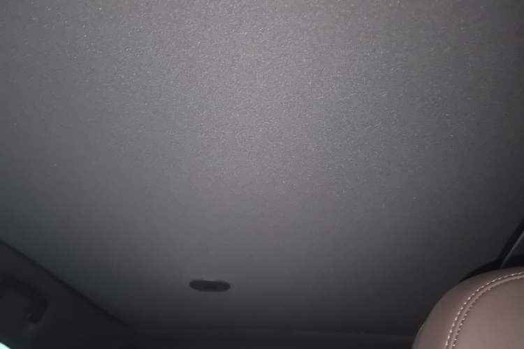 Used smart #3 2023 Pulse Four-Wheel Drive Edition Headliner