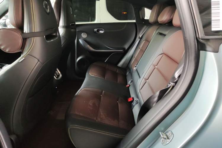 Used smart #3 2023 Pulse Four-Wheel Drive Edition Left Rear Seat