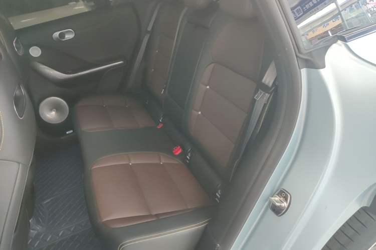 Used smart #3 2023 Pulse Four-Wheel Drive Edition Left Rear Seat
