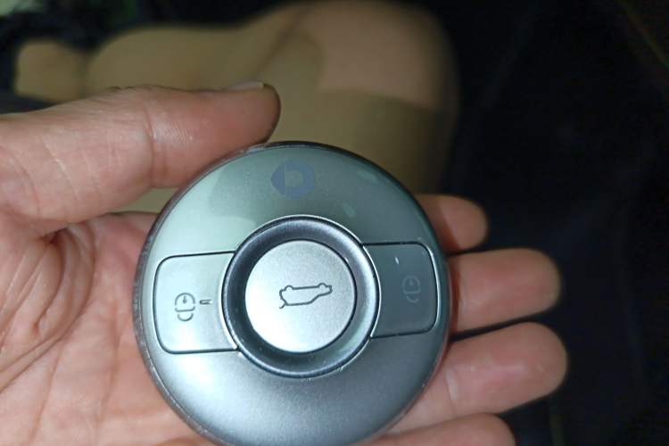 Used smart #3 2023 Pulse Four-Wheel Drive Edition Vehicle Key
