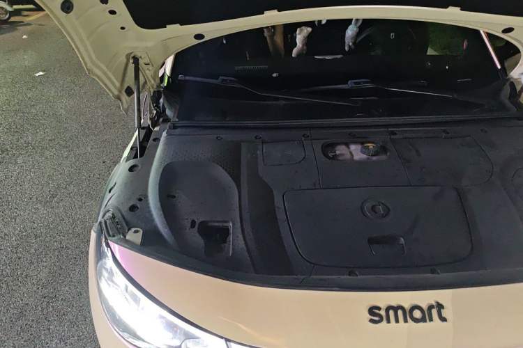 Used smart #3 2023 Pulse Four-Wheel Drive Edition Engine Bay Right