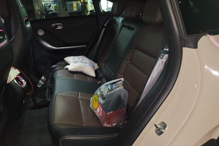Used smart #3 2023 Pulse Four-Wheel Drive Edition Left Rear Seat