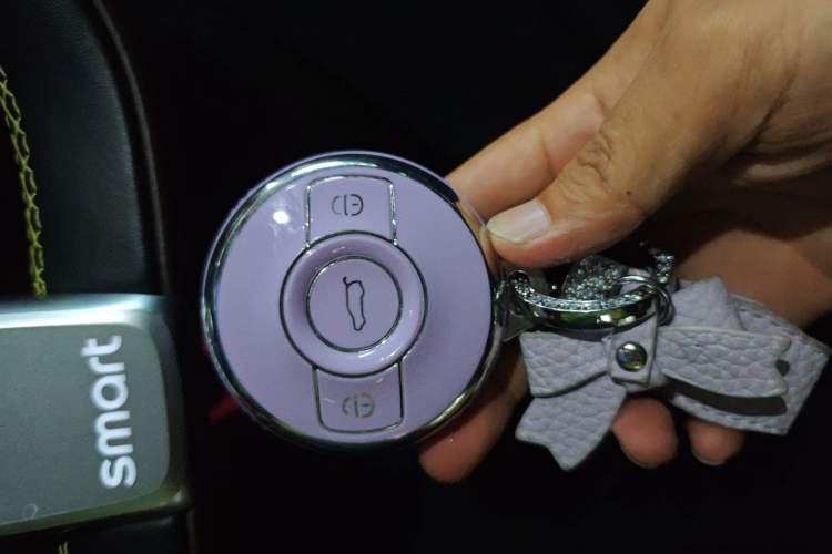 Used smart #3 2023 Pulse Four-Wheel Drive Edition Vehicle Key