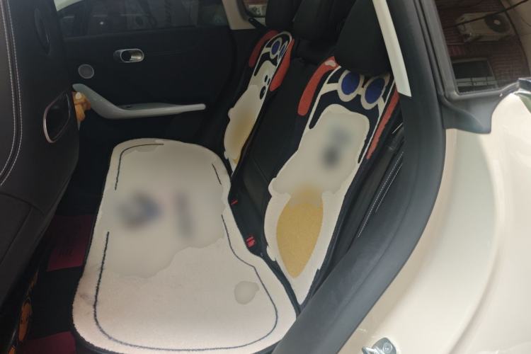 Used smart #3 2023 Pulse Four-Wheel Drive Edition Left Rear Seat
