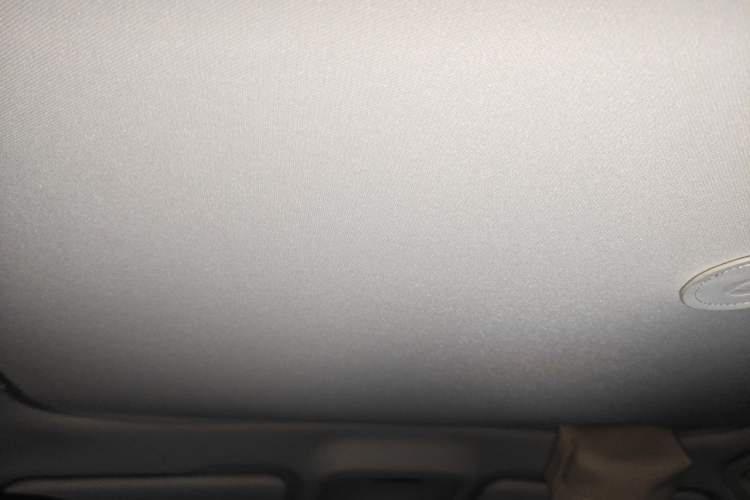 Used smart #3 2023 Pulse Four-Wheel Drive Edition Headliner