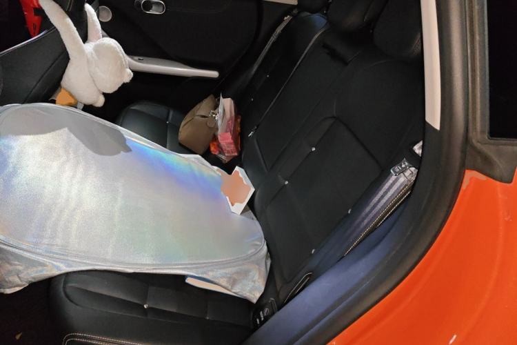 Used smart #3 2023 Pulse Four-Wheel Drive Edition Left Rear Seat