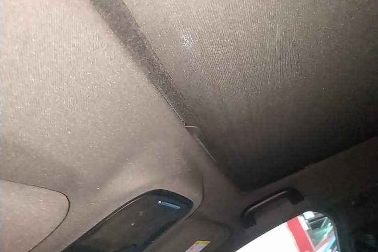 Used smart #3 2023 Pulse Four-Wheel Drive Edition Headliner